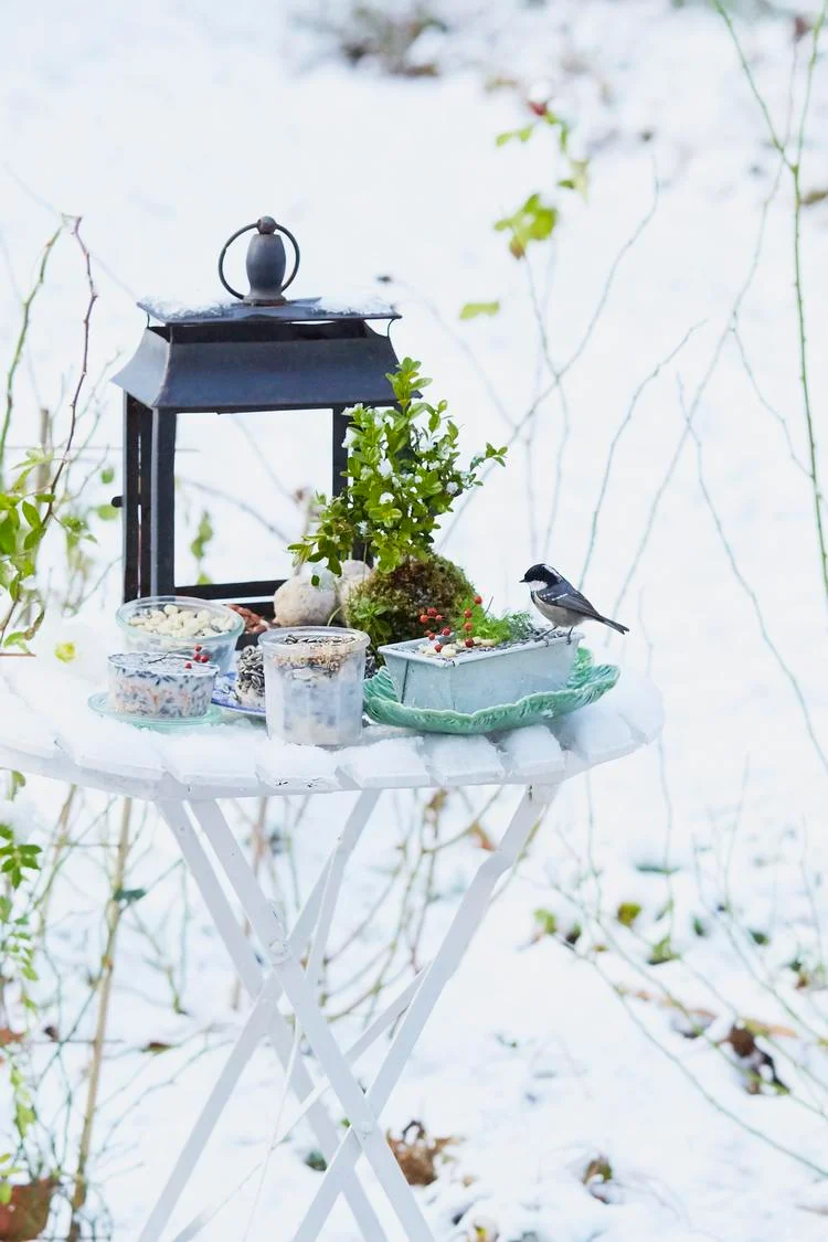 Den Gartentisch im Winter mit Vogelfutter arrangieren