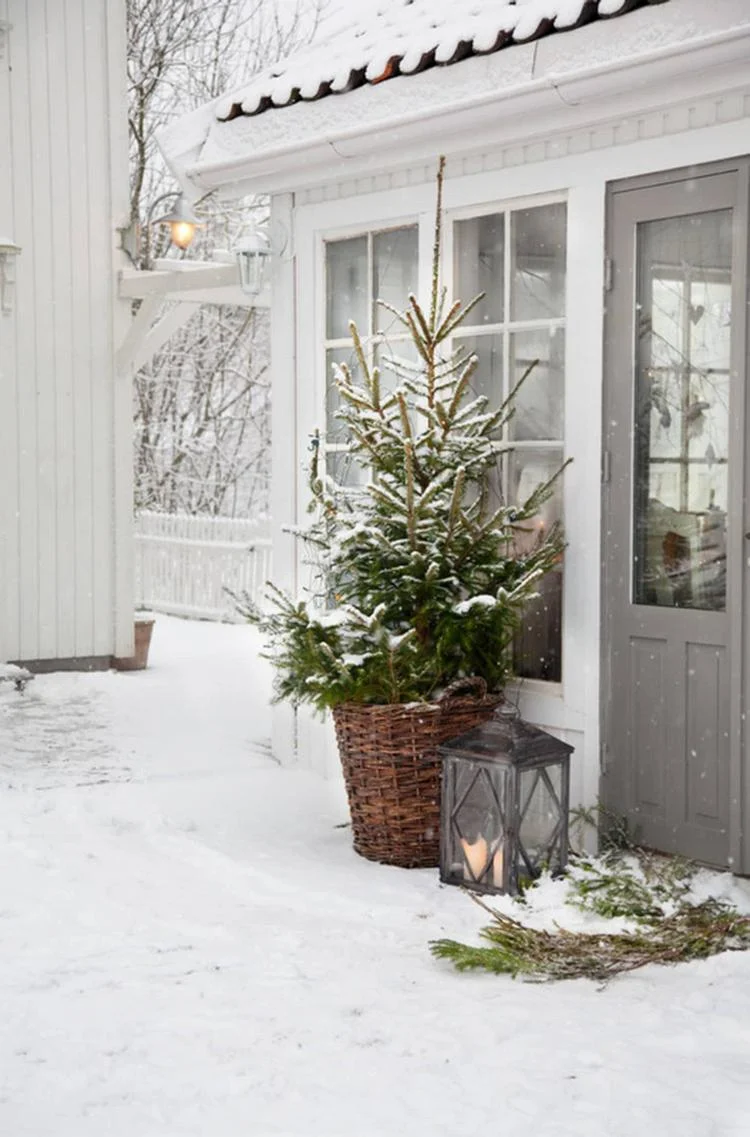 Einfache Winterdeko für draußen Tannenbaum im Korb vor dem Hauseingang