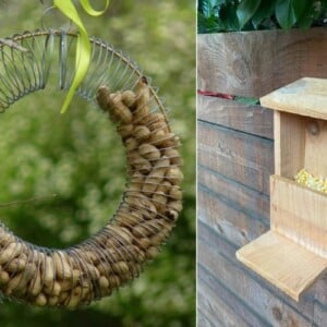 Futterstelle für Eichhörnchen bauen aus Holz oder basteln aus verschiedenen Materialien