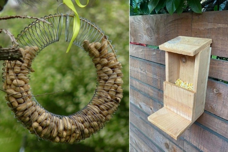 Futterstelle für Eichhörnchen bauen aus Holz oder basteln aus verschiedenen Materialien