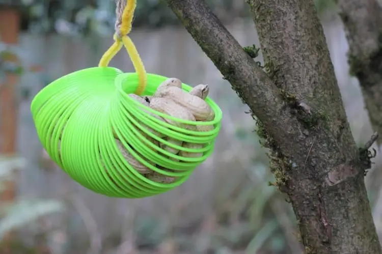 Futterstelle für Eichhörnchen selber basteln mit Kindern aus einem Slinky und Pfeifenreinigern
