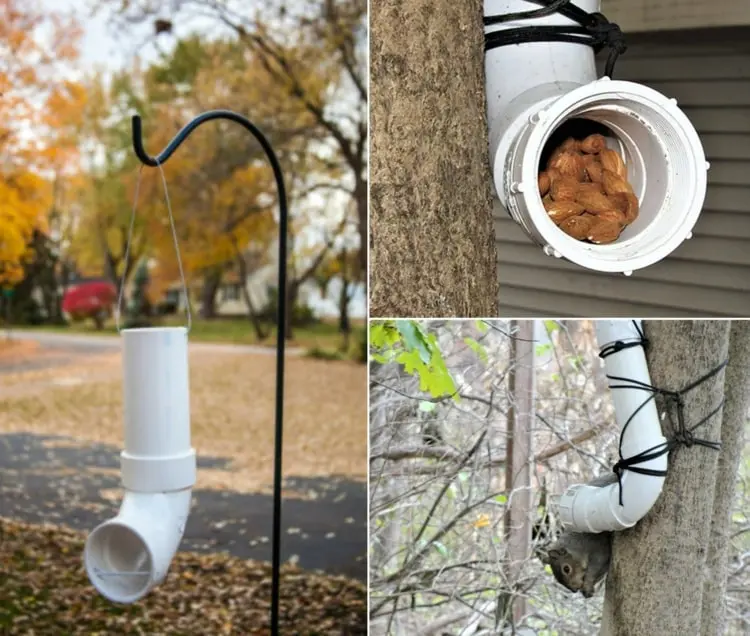 Futterstelle für Eichhörnchen selber machen aus PVC Rohren für ein einfaches Projekt