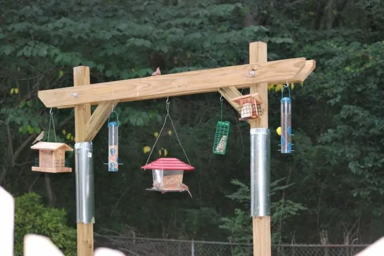 Gerüst für Futtersäulen und Vogelhäuser mit Schutz vor Eichhörnchen