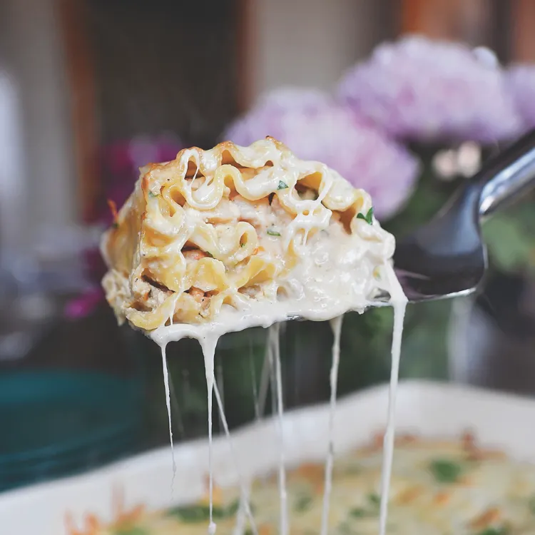 Lasagne Röllchen Rezepte schnelle Pasta Gerichte Abendessen