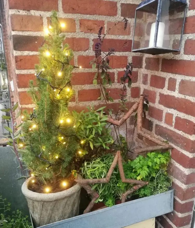 Mini Tannenbaum im Kübel und Holzsterne als Winterdeko für den Garten