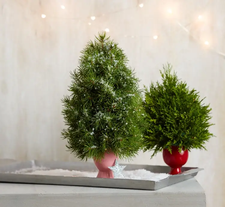 Mini Weihnachtsbaum für den Tisch selber machen