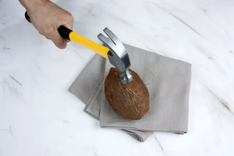 Nüsse aufklopfen mit einem Hammer auf einer passenden Unterlage