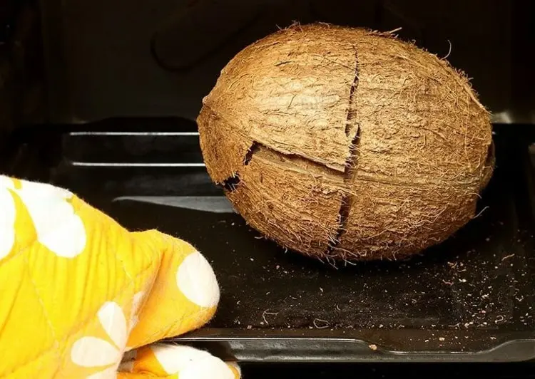 Problemlos Kokosnüsse knacken im Ofen dank Hitze