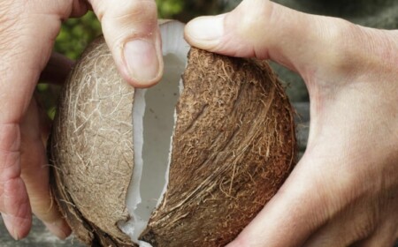 Reife Kokosnuss öffnen - Tipps und Tricks ohne Hammer