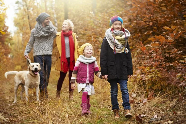 Spaziergang im Wald mit Kindern im November