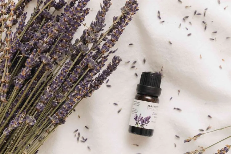 Was hilft gegen Lebensmittelmotten ätherisches Lavendelöl