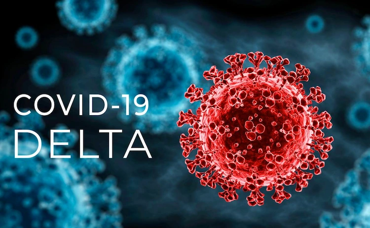 delta stamm des coronavirus kann sich wegen mutationen selbst zerstören