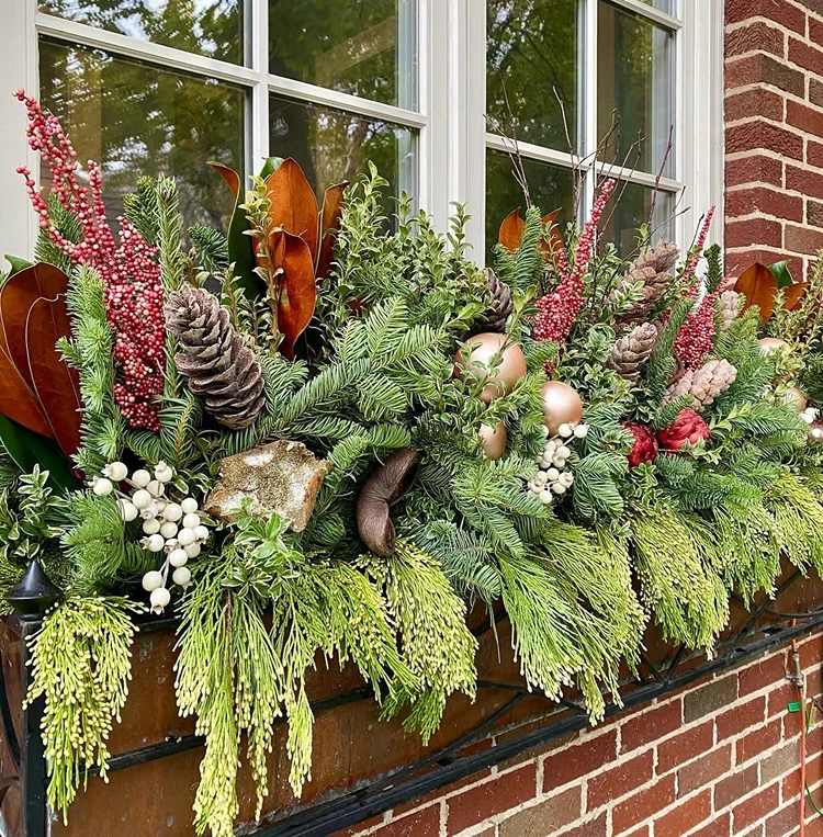 fensterbank arrangement mit üppigem grün zapfen weißen und roten beeren goldenen kugeln und magnolienblättern