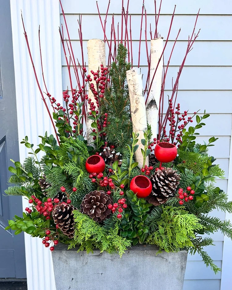 hoher kübel mit tannengrün zapfen roten beeren weißen birkenästen