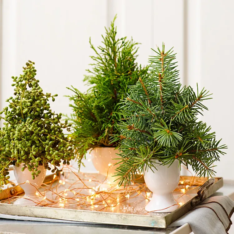 kleine Weihnachtsbäume als Tischdeko puristische Weihnachtsdeko Ideen 2021
