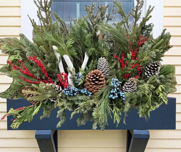 weihnachtsdeko im blumenkasten mit immergrünen zweigen und tannenzapfen