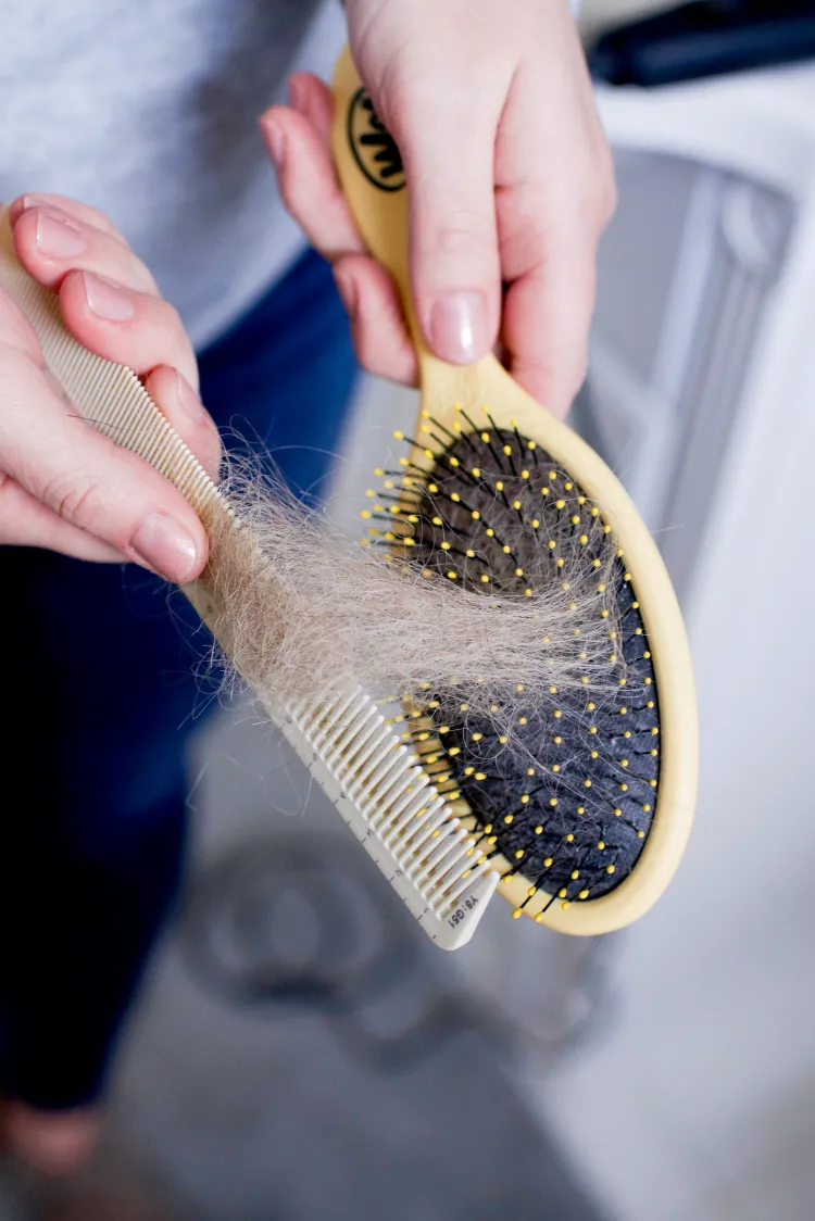 wie oft die Haarbürste reinigen Hacks für saubere Haarbürsten