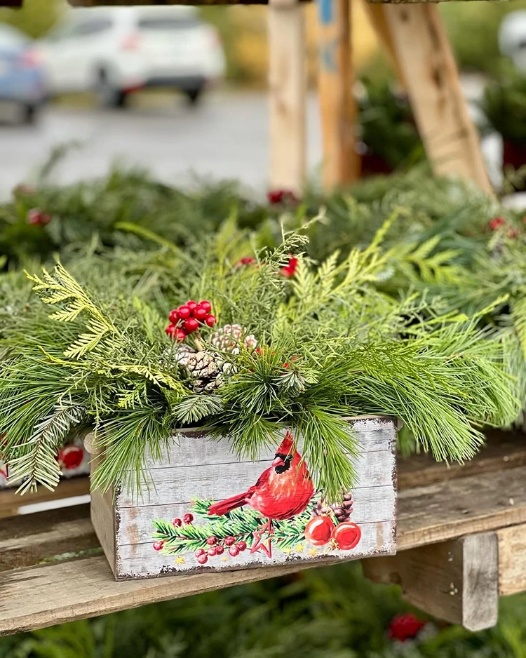 winterliches tannengrün arrangement im holzkasten