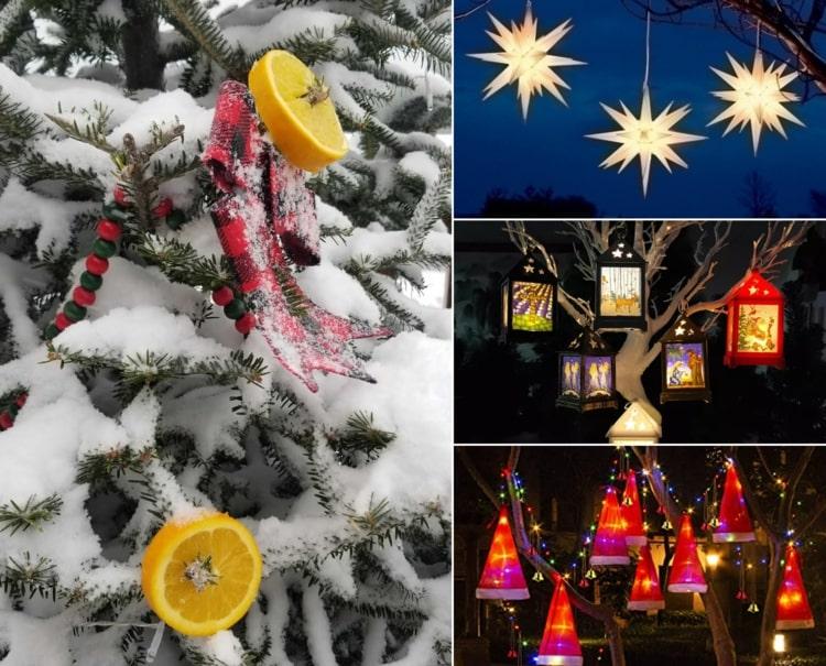 Bäume dekorieren im Garten zu Weihnachten mit Lichtern, Schildern und Baumschmuck