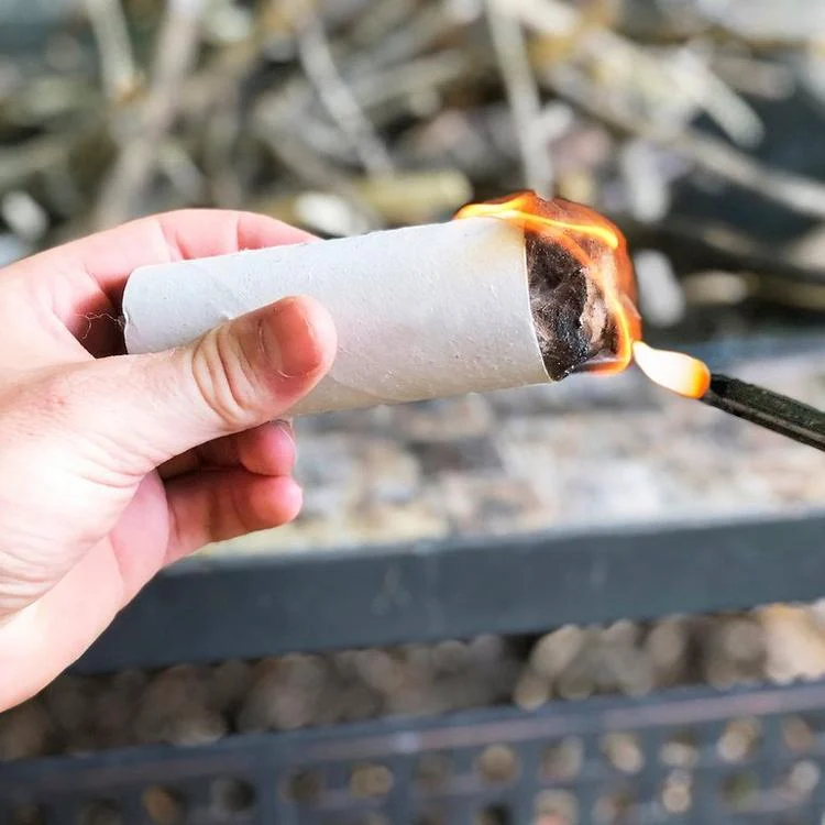 DIY Feueranzünder aus Klorolle und Trocknerflusen
