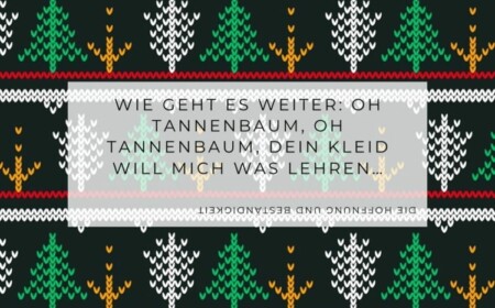 Frage zum Text des Lieds Oh Tannenbaum - Schöne Weihnachtsrätsel