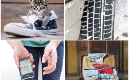 Katzenstreu anders verwenden verschiedene Einsatzmöglichkeiten