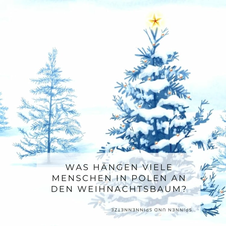 Was hängt man in Polen traditionell an den Weihnachtsbaum - Spinnen und Spinnweben