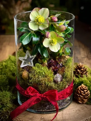 christrose als geschenk verpacken in glasvase