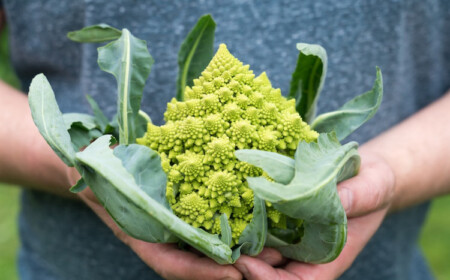 ernährungsumstellung auf planzliche diäten mit blumenkohl und grünkohl gegen kopfschmerzen