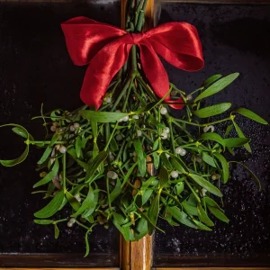 mistelzweig deko selber machen diese ideen bringen weihnachtsglück in ihr heim!