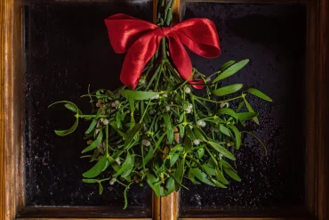 mistelzweig deko selber machen diese ideen bringen weihnachtsglück in ihr heim!