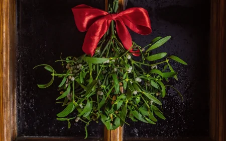 mistelzweig deko selber machen diese ideen bringen weihnachtsglück in ihr heim!