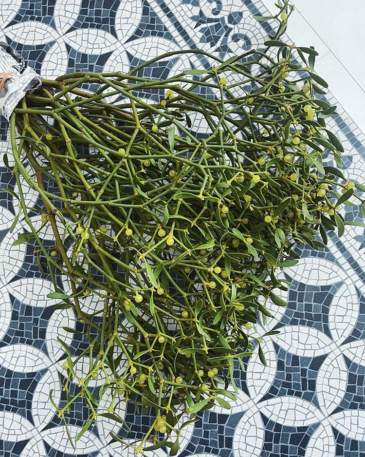 mistelzweig deko selber machen