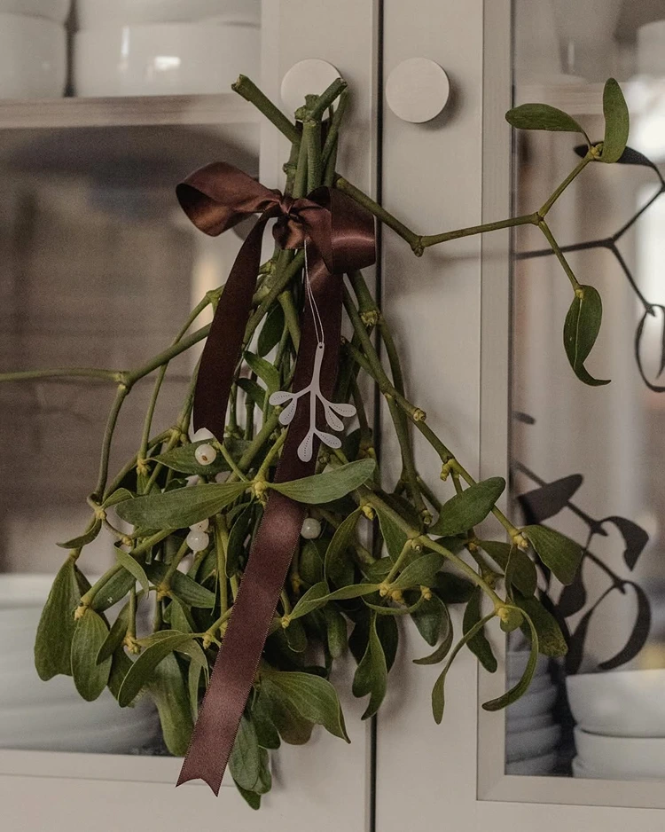 mistelzweig sträußchen zum aufhängen mit braunem band