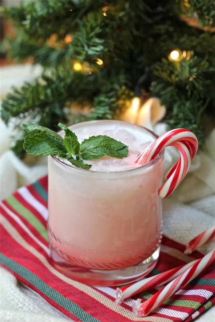 rote Cocktails Rezepte weihnachtliche Getränke Aperitif