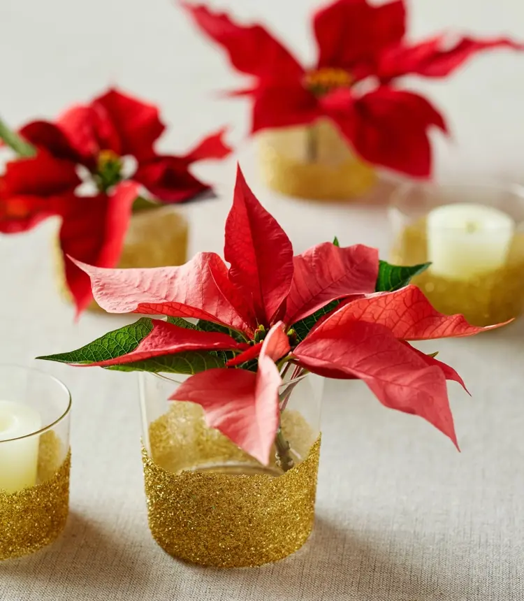 roter weihnachtsstern in kleinen vasen mit goldenem glitzer
