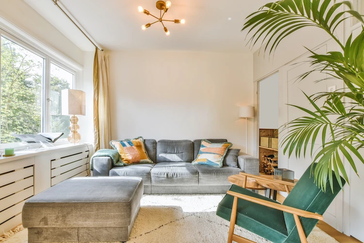 vintage möbel im wohnzimmer mit grüner zimmerpflanze im retro stil