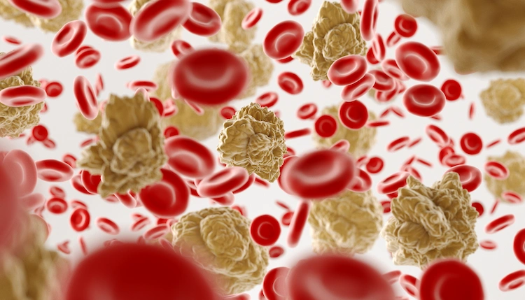 viren und rote blutkörperchen bei einer infektion mit hiv