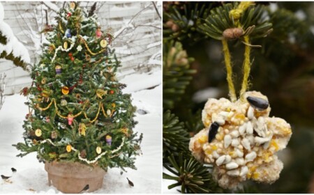 Christbaumschmuck Vogelfutter