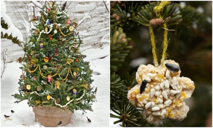 Christbaumschmuck Vogelfutter