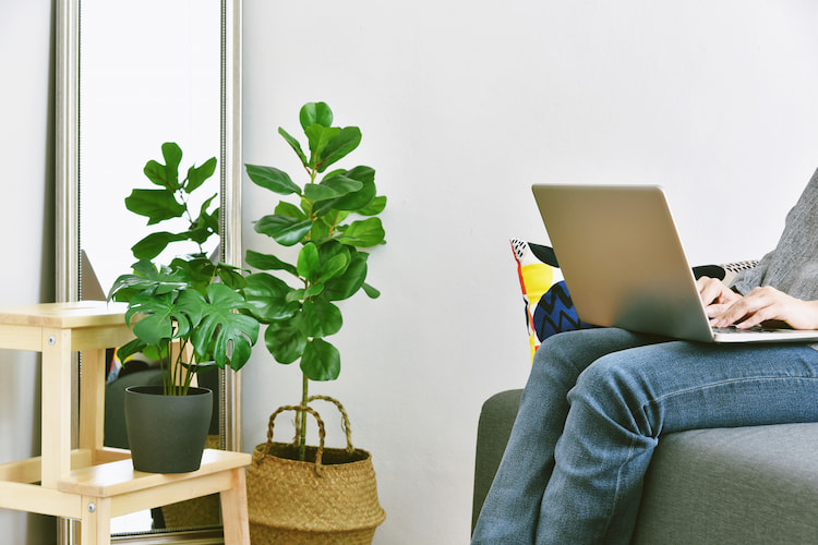 von zuhause aus arbeiten und eine angenehme atmosphäre im wohnraum mit pflanzen schaffen