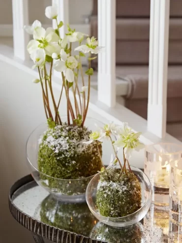 winterdeko mit christrosen und moos im glas