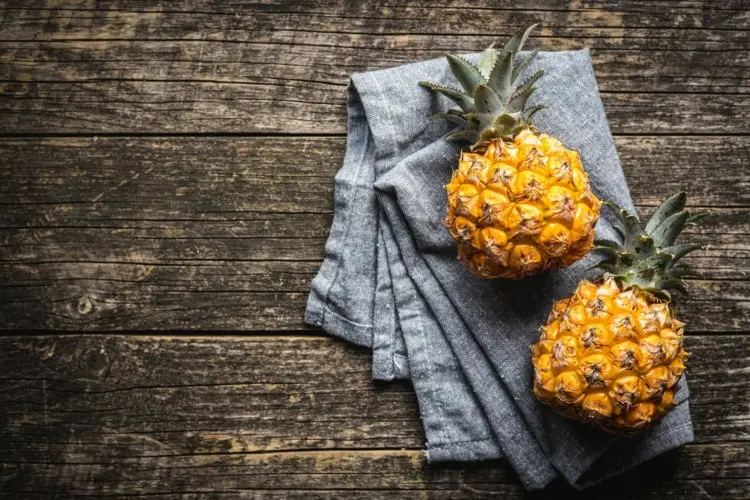 Ananas selber ziehen - Tipps und Tricks für den Strunk mit Blattschopf