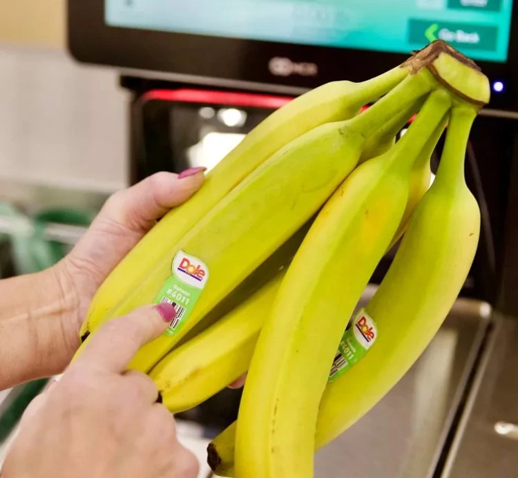 Bananenaufkleber nicht in den Abfluss entsorgen Tipps