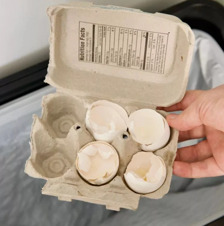 Eierschalen im Abfluss nicht entsorgen Tipps gegen Verstopfung