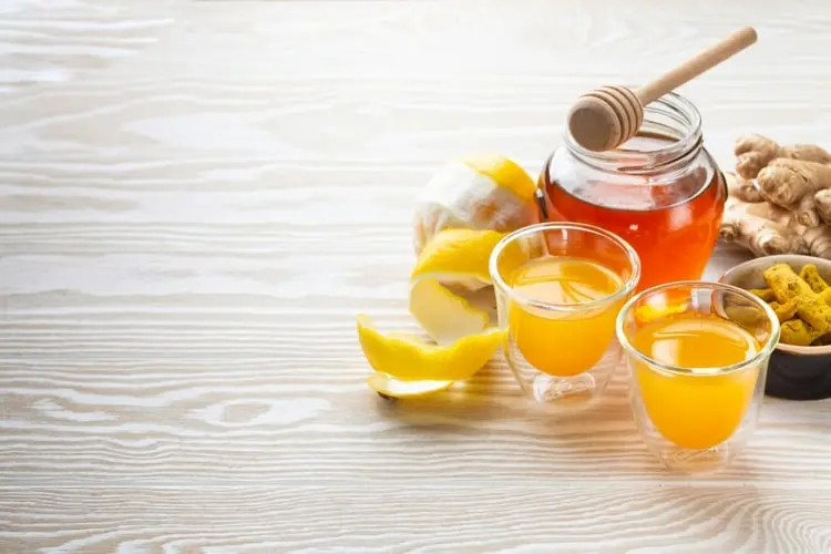 Ingwer Shot selber machen - Grundrezept mit Zitrone und Honig oder Agavendicksaft
