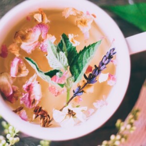 Kräuter und Tees zur Entgiftung der Leber und Verdauung