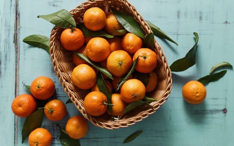 Welche Mandarinen für eine Mandarinenmarmelade
