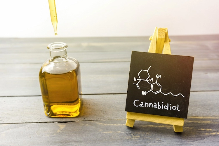 cannabinoid rezeptor durch extrakt aus marihuana namens cannabinoid nicht anfällig