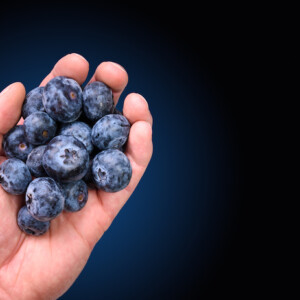 flavonoide in heidelbeeren oder rotwein verringern sterberisiko bei parkinson